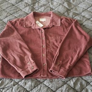 Pink Corduroy Cropped Button Down